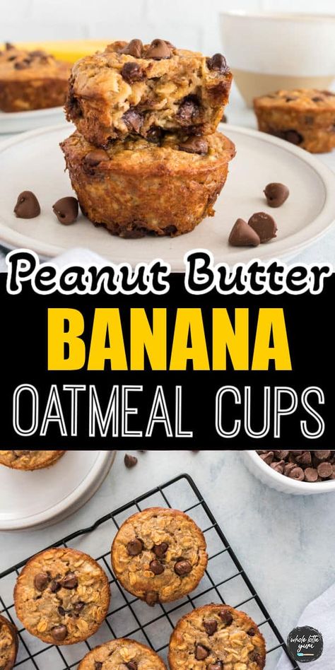 The best easy peanut butter banana oatmeal cups baked in the oven. Peanut Butter Oatmeal Cups, Survival Meals, Peanut Butter Banana Baked Oatmeal, Healthy Baked Oatmeal, Peanut Butter Banana Oats, Banana Nut Oatmeal, Soft Diet, Baked Oatmeal Healthy, Banana Baked Oatmeal