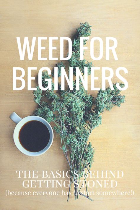 Weed for Beginners Getting High, Endocannabinoid System, Poached Egg, The Good Life, It's Okay, Medicinal Herbs, The Basics, Tie Dye, Herbs