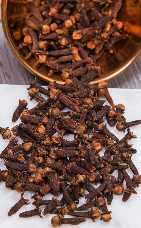 Benefits, medicinal properties, advantages and disadvantages of cloves Benefits Of Cloves, Clove Plant, Healing Spell, Cloves Benefits, Cloves Spice, Witchcraft Herbs, Witch Herbs, Clove Bud, Healing Plants