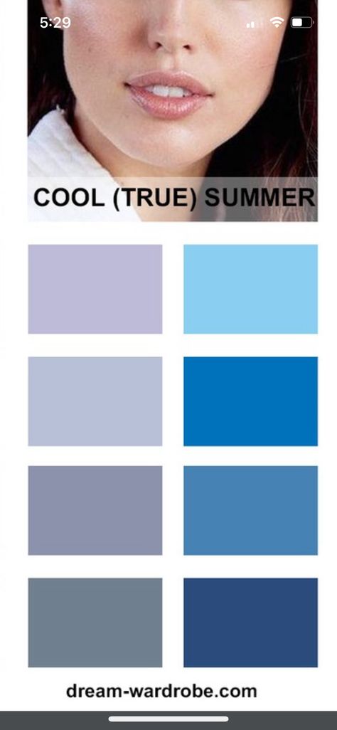 True Summer Outfits Color Combos, True Summer Jewelry, True Summer Wardrobe, Cool Summer Color Palette, Cool Summer Palette, Light Summer Color Palette, Summer Color Palettes, Colour Season, Soft Summer Palette