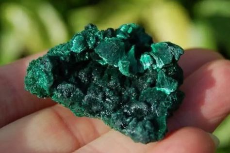 Pinellas County Florida, Raw Malachite, Limestone Quarry, Rock Tumbling, Chalcedony Crystal, Rock Hunting, Crystal River, Rare Crystal, Calcite Crystal