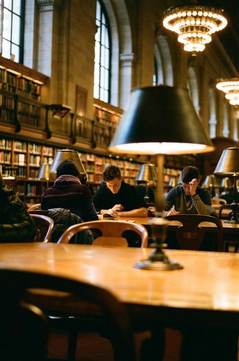 Ny Library Aesthetic, Banana Fish Library, New York Public Library Aesthetic, People In Library, Public Library Aesthetic, Studying At Library, Public Aesthetic, Library Studying, Ny Library