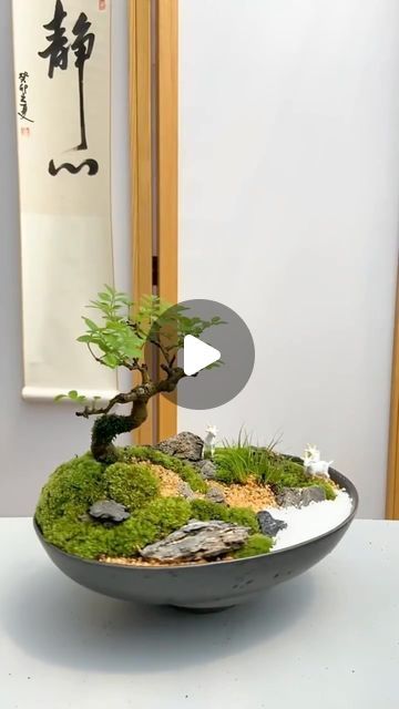 Terrarium Bonsai, Bonsai Garden Landscaping, Bonsai Decoration Ideas, Bonsai Ideas, Mini Garden Ideas Small Spaces, Mini Bonsai, Plant Crafts, Indoor Bonsai, Bonsai Art