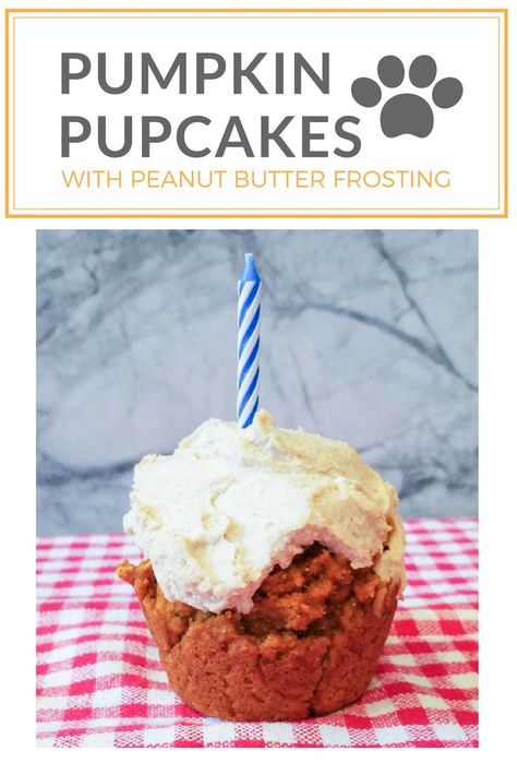 Up your puppy PAWty with these easy peanut butter pumpkin pupcake recipe with a two-ingredient peanut butter frosting. Cupcakes have gone to the dogs! Birthday cake #glutenfree #dogs #pupcake #pumpkin #peelwithzeal #peanutbutter peelwithzeal.com Dog Safe Cake Recipe, Cupcakes For Dogs Recipe, Pupcake Recipe, Dogs Cake, Dog Birthday Cake Recipe, Frosting Cupcakes, Puppy Pawty, Dog Cake Recipes, Dog Cupcakes