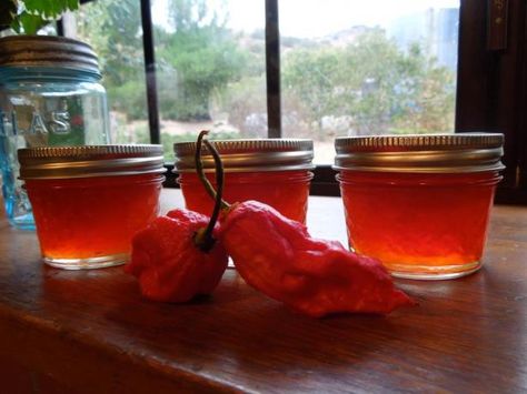 Ghost Pepper Jelly! from Food.com:   								CAUTION! You thought my Spicy Habanero Jelly was hot try this!  Make in well ventilated room with gloves.  Naga jolokia is a chili pepper the hottest in the world. Mine were orange when I picked them so I opted for orange bells. If you get red ones do use red bell peppers. If you can't find the ghost chili's just use 12 habaneros Ghost Pepper Jelly Recipe, Ghost Pepper Jelly, Ghost Pepper Recipes, Habanero Jelly, Pepper Jelly Recipe, Ghost Chili, Hot Pepper Recipes, Pepper Jelly Recipes, Hot Pepper Jelly