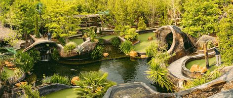 Covered Walkway, Miniature Golf Course, Mini Golf Course, Mini Golf, Summer Bucket, Unusual Plants, Night Photos, Tropical Vacation, Koi Pond