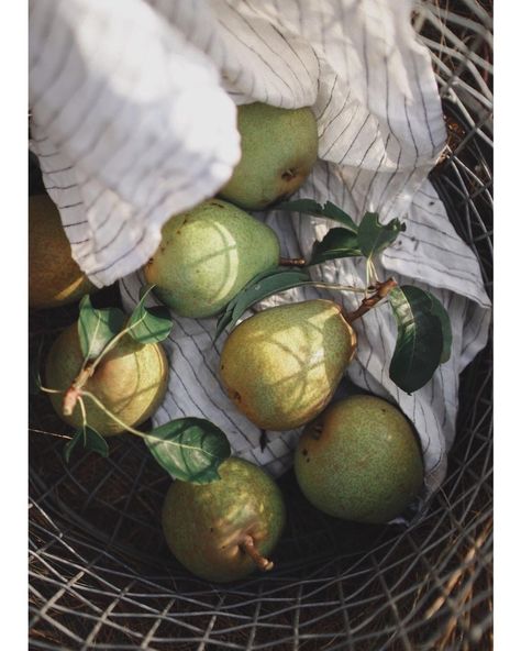 Pear Aesthetic, Hilde Mork, Pear Trees, Instagram S, Partridge, Sweet Life, Green Aesthetic, Fall Harvest, Brussel Sprout