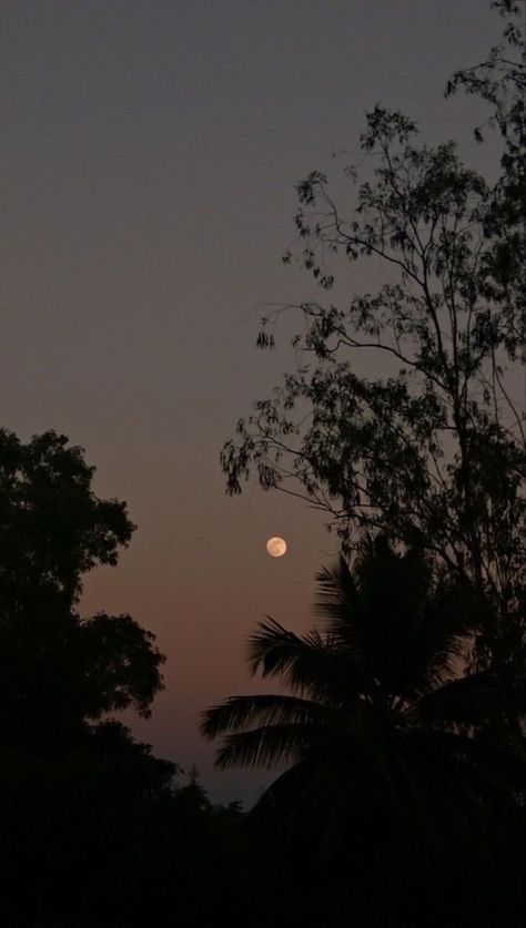 Look At The Moon, The Soul, The Moon, Look At, Trees, Moon