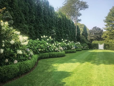 MJ21_QuincyHammond_70 Elm-Serpentine Hedge Backyard Tall Privacy Ideas, English Hedge Garden, Hedge Around Patio, Half Acre Landscape Design, Yard Feature Ideas, Feature Tree Backyard, Backyard Landscaping Greenery, Hydrangea Fence Border, Manicured Front Yard Landscape