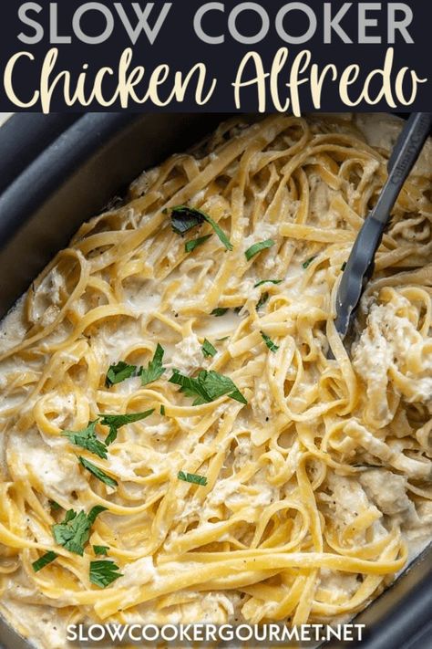 Better than what you can get at most restaurants and it comes out of your slow cooker! This Slow Cooker Chicken Alfredo Pasta is a family favorite dinner recipe! #slowcookergourmet #alfredo #chickenrecipe #pasta #slowcookerrecipe Slowcooker Pasta, Slow Cooker Chicken Alfredo, Crockpot Chicken Alfredo, Alfredo Chicken, Slow Cooker Pasta Recipes, Chicken Cooker, Pasta Recipes Alfredo, Pasta Alfredo, Chicken Alfredo Recipes