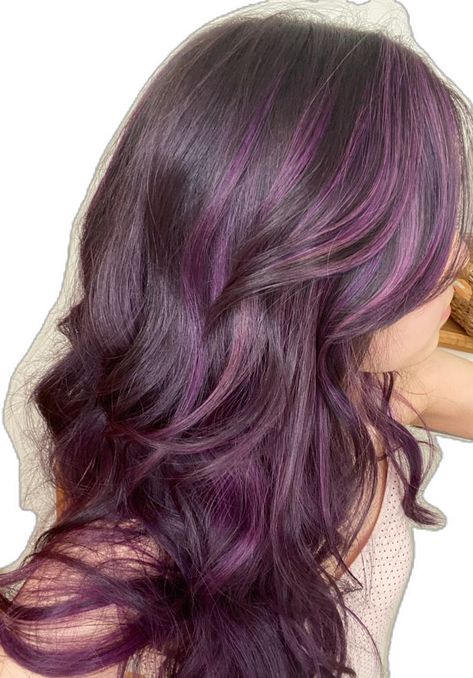 Hair Color Violet Purple, Brunette Hair Purple Highlights, Brown And Purple Balayage, Purple Strands In Brown Hair, Purple And Brunette Hair, Hair Inspo Color Purple, Violet Highlights In Brown Hair, Grape Violet Hair Color, Purple In Brown Hair