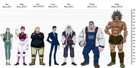 Madame Red, Zoldyck Family, Yoshihiro Togashi, Hunter Outfit, Hunter Hunter, Height Chart, Im Going Crazy, Manga Pictures, Anime Quotes