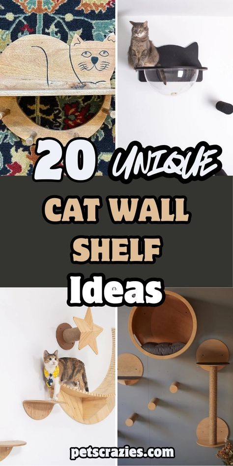 Discover 20 unique cat wall shelf ideas that will elevate your pet’s space! 🐱✨ From modern designs to functional layouts, these shelves offer comfort & style. Explore now! Cat Proof Balcony, Cat Wall Shelf, Diy Cat Shelves, Wall Shelf Ideas, Cat Room Ideas, Cat Window Hammock, Cat Climbing Wall, A Big House, Cat Window Perch