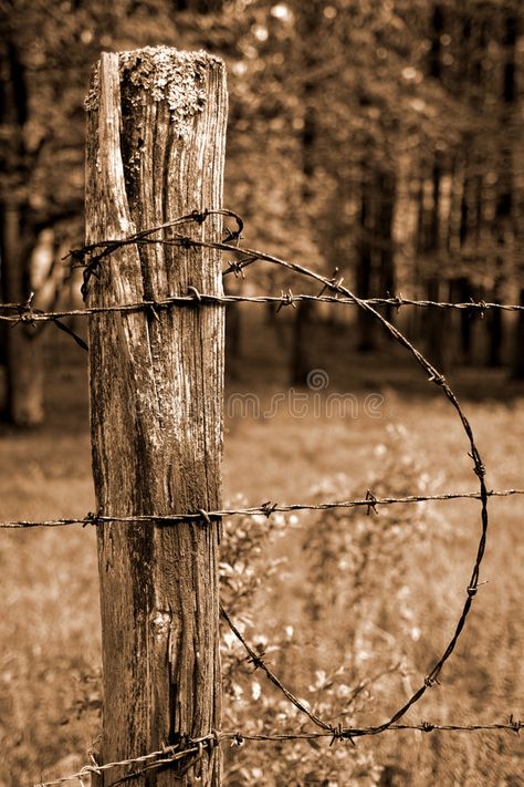 Fence Post and Barbed Wire. With Forest Background, sepia toned , #AFFILIATE, #Barbed, #Wire, #Fence, #Post, #sepia #ad Old Wooden Fence, Barbed Wire Fence, Wooden Fence Posts, Brown Pictures, Barbed Wire Fencing, Fence Post Caps, Widget Board, Christmas Wallpaper Free, Brown Nature