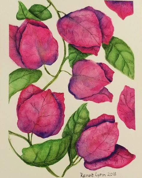 Bougainvillea watercolor painting Bougainvillea Line Drawing, Bougenville Painting, Bougainvillea Painting On Wall, How To Draw Bougainvillea, Bogenvilla Flower Painting, Buganvilla Painting, Bougainvillea Painting Watercolors, Bougainvillea Drawing, Bouganvilla Flower