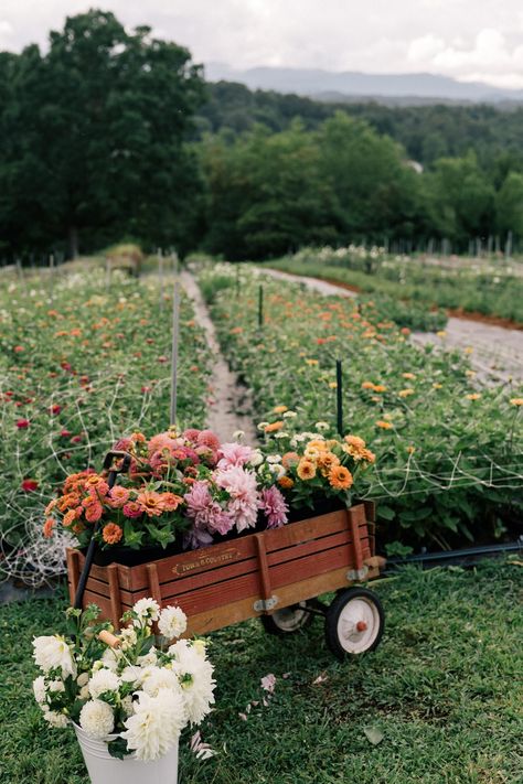 Youtube Description, Cut Flower Farm, Aesthetic Header, Future Farms, Flower Farmer, Over The Garden Wall, Cut Flower Garden, Farm Stand, Hobby Farms