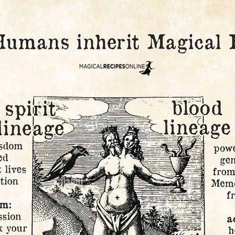 Magical Recipes Online on Instagram: "Everyone has inherited magical powers. You just have to unlock them! https://www.magicalrecipesonline.com/2022/04/your-blood-types-magical-element-ancestral-power.html #magicalrecipesonline #bloodmagic #ancestral #ancestralhealing #witchaesthetic #witchesofinstagram" Higher Consciousness Quotes, Magical Recipes, Blood Magic, Blood Types, Consciousness Quotes, W.i.t.c.h Aesthetic, House Of Black, Magick Book, Magical Powers