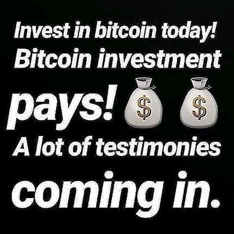 Bitcoin Investment, Forex Signals, Option Trading, Bitcoin Mining, Easy Money, Crypto Currencies, I Care, The Professional, Blockchain