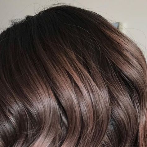 Kimemily Pham on Instagram: "Champagne Mauve. . Glazing without re-lightening the hair, and a good haircut brought her hair back to life. . Used @guy_tang @guytang_mydentity Demi 50g Misty Muave + 30g Blush + 20g 10DL Dusty Lavender + 6vol 1:2 + 1scoop of the #MyHero Collagen powder. Process on dry hair for 25 mins. . #kimwasabi #exxellenthairsalon #guytang #guytangmydentity #mydentity #mydentitycolor #hairbestiesforlife #EvolveTogther #bayareahairstylist #mauvepinkhair" Guy Tang Mydentity, Guytang Mydentity, Good Haircut, Dusty Lavender, Guy Tang, Collagen Powder, Hair Back, Back To Life, Cool Haircuts