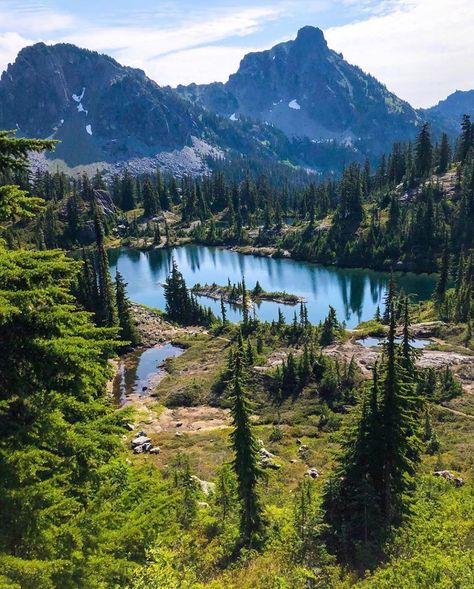 Cascadia Explored on Instagram: “Location: Alpine Lakes Wilderness, Washington  Photographer: @spirithiker •  The Alpine Lakes Wilderness is a large wilderness area…” Alpine Lakes Wilderness Washington, Canada Wilderness, Alaska Living, Canadian Wilderness, Alpine Forest, Miniature Bases, Camping Aesthetic, Oregon Washington, The Great Lakes