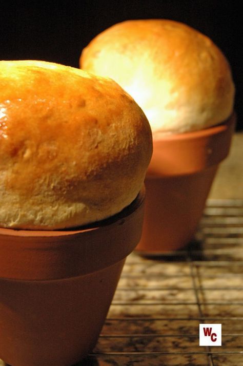 Terracotta Bread - How to season terracotta pots for baking bread Baking Bread In A Clay Pot, Flowerpot Bread, Flower Pot Bread, Pot Bread, Baking Clay, Baking Bread, Maize, Clay Pot, Artisan Bread