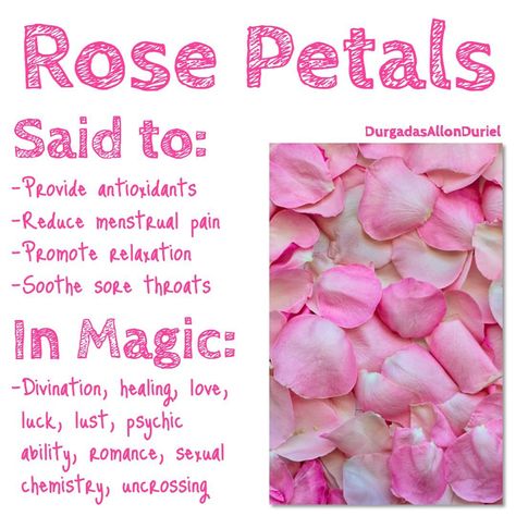 Rose Petal Uses, Magick Herbs, Eclectic Witchcraft, Sooth Sore Throat, Magickal Herbs, Pagan Spirituality, Witch Herbs, Magic Herbs, Magical Herbs