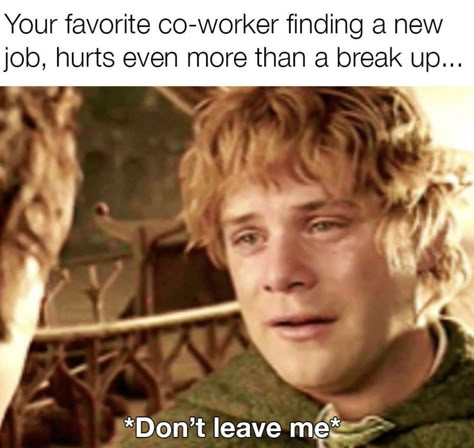 #coworkers #funny #workmemes #worklife Co Worker Memes, Coworker Memes, Funny Coworker Memes, Retail Humor, Coworker Humor, Job Humor, Don't Leave Me, Workplace Humor, Sarcastic Jokes