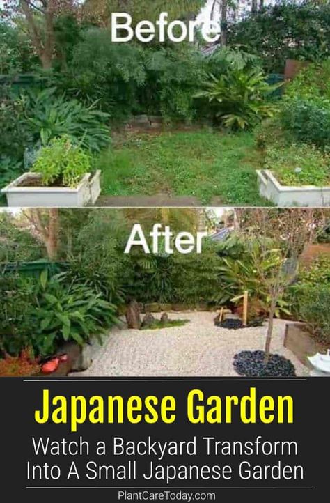 When faced with a postage stamp backyard many homeowners think they have few options. A small Japanese garden design doesn't even... [READ MORE Japanese Backyard, Japanese Garden Backyard, Japanese Garden Style, Japanese Inspired Garden, Japanese Garden Decor, Gardener Aesthetic, Rockery Garden, Wallpaper Garden, Beautiful Japanese Gardens