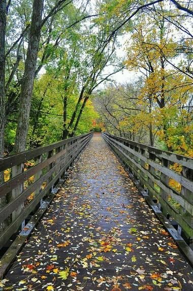 Abingdon Virginia, Virginia Creeper Trail, Beauty In Nature, Virginia Travel, Tourist Sites, Virginia Usa, Tourist Spots, Camping And Hiking, Vacation Spots