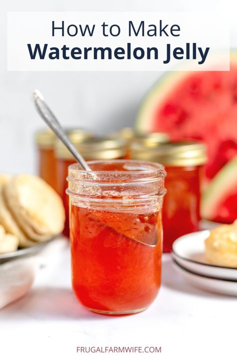 How to Make Watermelon Jelly (Step-by-Step) - The Frugal Farm Wife Watermelon Jam Recipe, Wild Plum Jelly Recipe, Watermelon Jam, Watermelon Juice Recipe, Canning Jam Recipes, Watermelon Jelly, Canning 101, Homemade Jelly, Canned Food Storage