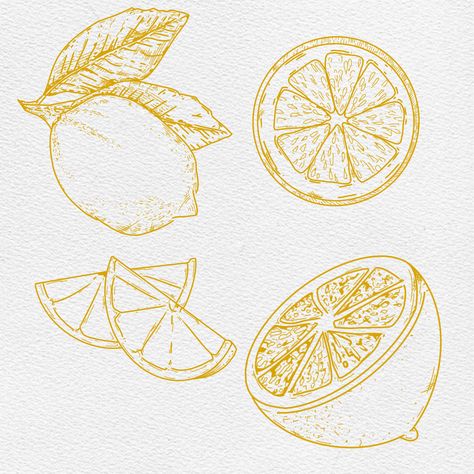 Drawings Of Lemons, Lemon Half Tattoo, Lemon Slices Drawing, Orange And Lemon Tattoo, Orange Slice Tattoo Black And White, Italian Lemon Tattoo, Lemon Lime Tattoo, Lemon Line Art, Lemon Tattoo Design