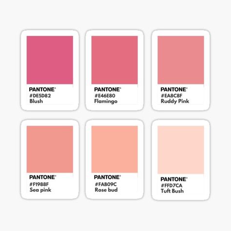 Pantone Peach Pink, Pantone Pink Shades, Pink Color Chart, Pink Pantone, Aesthetic Pleasing, Pantone Color Chart, Pantone Palette, Hex Color, Face Charts