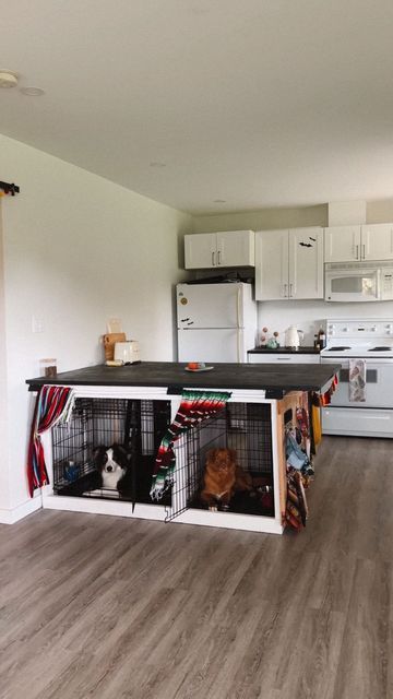 Dipper & Fawkes on Instagram: "a lil before and after of our renter-friendly DIY dog crate kitchen island ⁠ ⁠ ⁠when we first moved into our rental we had next to no kitchen space, so we came up with a way to make the space functional for ourselves but also have it match the rest of the space⁠ ⁠ we really love how this turned out 🥰⁠ and I think the dogs like it too 😉⁠ ⁠ Follow @coast2coast.dogs for more content and life updates like this ✔️⁠" Dog Crate Kitchen Table, Dog Crate Kitchen Island, Dog Area In Kitchen, Dog Crate Kitchen, Dog Spaces In House, Dog Crate Ideas, On Top Of Fridge, Camping 2023, Top Of Fridge