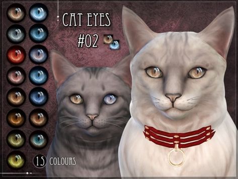 Non-default Eyes for the Sims 4 cats Found in TSR Category 'Sims 4 Sets' Sims 4 Pet Cc, Sims 4 Pets Mod, Sims Pets, Sims 4 Cc Eyes, Sims Packs, Sims 4 Cc And Mods, Alpha Cc, Sims 4 Gameplay, Sims 4 Characters