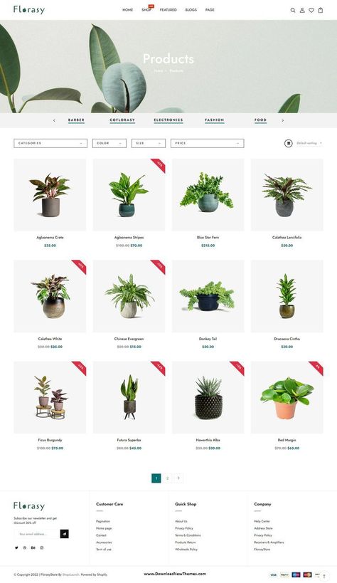 #Plant_Website_Design #Plant_Website #Online_Store_Website #Best_Shopify_Themes Online Plant Shop, Plant Nursery Website Design, Plant Website Design, Pink Girls Bedroom Decor, Online Store Website, Best Shopify Themes, Colorful Website, Shopify Website Design, Homepage Layout