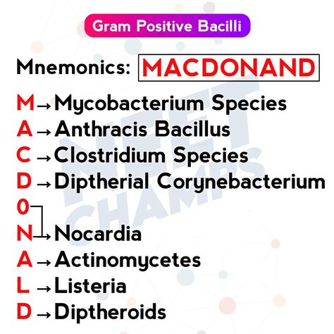 Gram Positive Vs Gram Negative Bacteria, Beta Lactam Antibiotics Mnemonics, Mnemonics For Biology Neet, Microbiology Mnemonics, Gram Positive Bacteria, Micro Biology, Pharmacy School Study, Microbiology Notes, Neet Biology