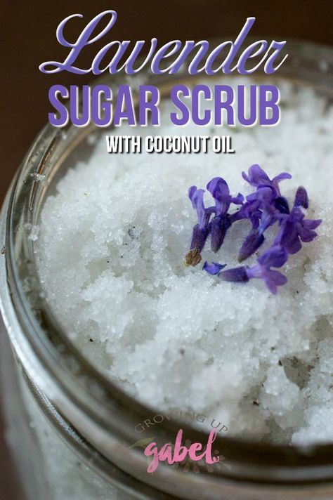 Make a homemade sugar scrub with sugar, coconut oil and dry lavender buds with this lavender sugar scrub recipe. Scrub Ideas, Coconut Oil Sugar Scrub, Dry Lavender, Coconut Oil Scrub, Homemade Sugar Scrub, Scrub Homemade, Diy Body Scrub Recipes, Diy Sugar Scrub Recipe, Lavender Sugar