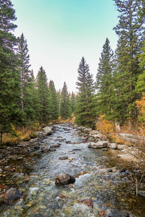 Whitefish Montana Fall, Fall In Montana, Montana Scenery, Montana Fall, Montana Aesthetic, Montana Life, Montana Living, Montana Cabin, Adventure Goals