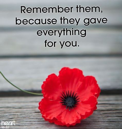 D Day Remembrance, Patriots Painting, Remembrance Day Images, Remembrance Day Pictures, Remembrance Day Quotes, Poppy Poster, Anzac Poppy, Anzac Soldiers, Slate Painting