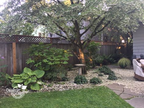 Tips for Planting Under Mature Trees - Landscape Design In A Day Tree Landscaping, Portland Garden, California Lilac, Shade Landscaping, Tall Shrubs, Hillside Garden, Drought Tolerant Landscape, Flowering Tree, Plants To Grow