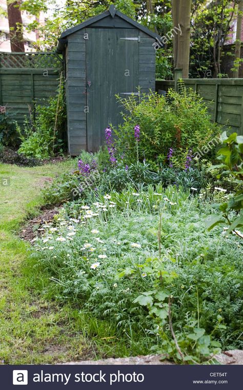 Dark Green Fence Garden, Dark Green Garden Fence, Dark Green Fence, Dark Green Shed, Green Fence Paint, Small Garden Fence, Landscaping Along Fence, Small Garden Shed, Painted Shed