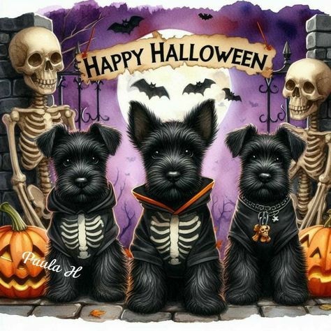 Halloween Wall Art, Halloween Pictures, Scottish Terrier, Dog Halloween, Scottie Dog, Dia De Muertos, Tis The Season, Happy Halloween, Cute Pictures