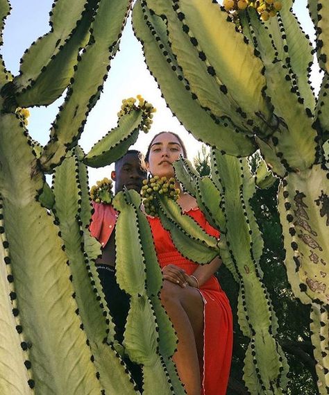 Favorite instagrams via DNAMAG Cactus Fashion Editorial, Cactus Photoshoot, Desert Fashion Photography, Garden Portrait, 70s Photoshoot, Cactus Fashion, Garden Shoot, Cowboy Photography, Botanical Fashion