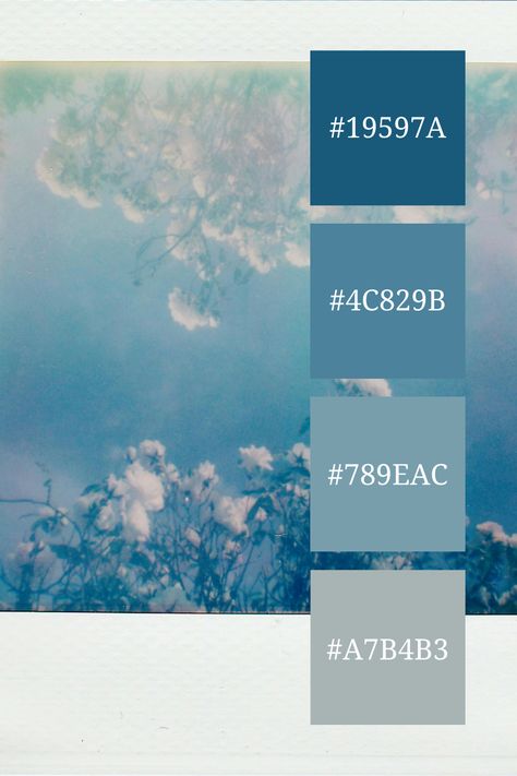 This dreamy blue pastel color palette captures soft, hazy white flowers against a delicate blue background, creating a nostalgic, vintage atmosphere reminiscent of a serene spring day. Monochromatic Blue Color Palette, Blue Pastel Color Palette, Color Palette Dreamy, Dreamy Color Palette, Color Scheme Generator, Pastel Color Palette, Blue Pastel, Pastel Colour Palette, Palette Color