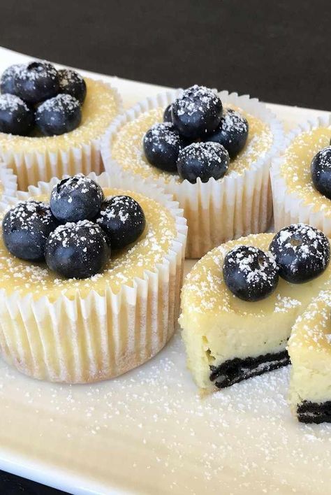 Oreo Crust Mini Cheesecake, Mini Cheesecake Oreo Crust, Mini Cheesecakes With Oreo Crust, Oreo Cookie Cheesecake Recipe, Mini Oreo Cheesecake Cupcakes, Oreo Mini Cheesecake, Oreo Crust Recipe, Philly Cheesecake, Mini Cheesecake Cupcakes