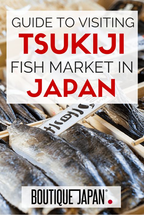 Your guide to visiting Tokyo, Japan's Tsukiji Fish Market. Everything from when to visit, how to get here, the tuna auctions, where to eat, what to bring and more! Tsukiji Fish Market, Japan Bucket List, Japan Holidays, Visit Tokyo, Japan Itinerary, Kyoto Travel, Japan Vacation, Tsukiji, Japan Travel Tips