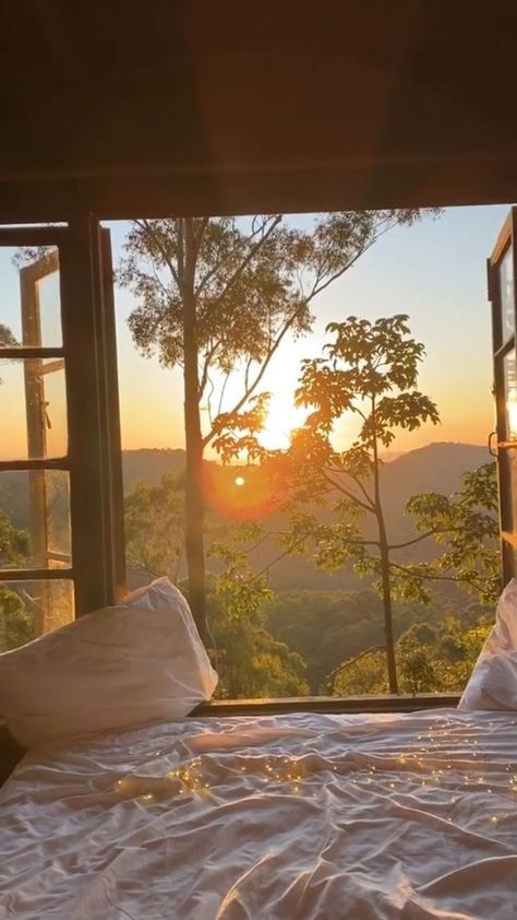 Australia Video, Best Airbnb, Bedroom Window, Tiny Cabin, The Rainforest, Tag Someone, Tiny House, Follow Us, Cabin