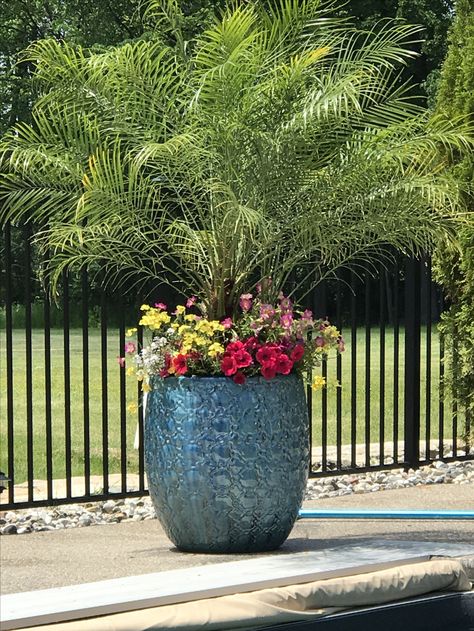 Poolside planter Pool Planters, Plants Around Pool, Pool Plants, Backyard Plants, Garden Walkway, Backyard Pool Landscaping, Patio Plants, Garden Containers, Oil Pastels