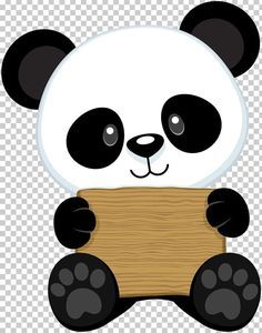 Panda Bear Drawing, Panda Png, Red Panda Baby, Giant Panda Bear, Baby Pandas, Baby Panda Bears, Panda Lindo, Panda Baby, Shapes Preschool