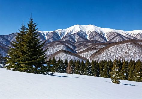 Winter Wonderland: Places to Visit in Hokkaido Hokkaido Winter, Sapporo, Best Places To Visit, Cool Places To Visit, Winter Wonderland, The Good Place, The Magic, Places To Visit, Japan